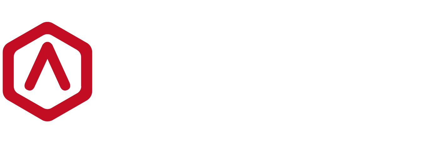 Raise3D SLS logo